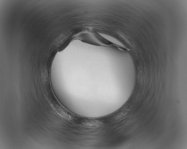 X0000082170459200702092248