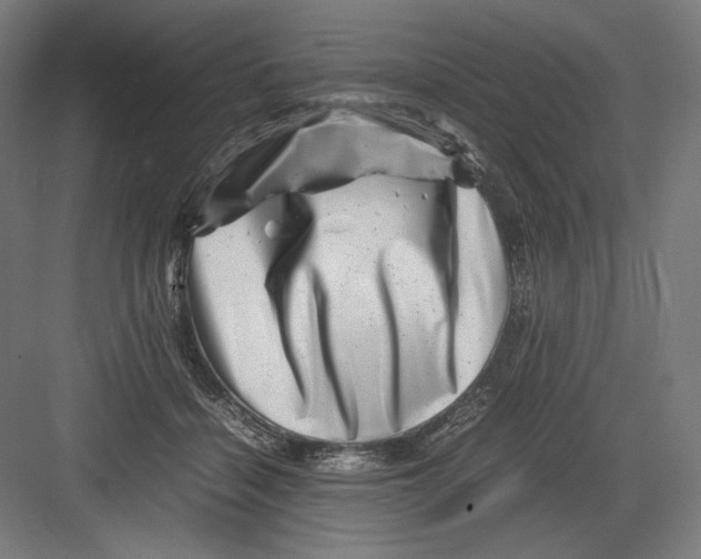 X0000082170460200702092248