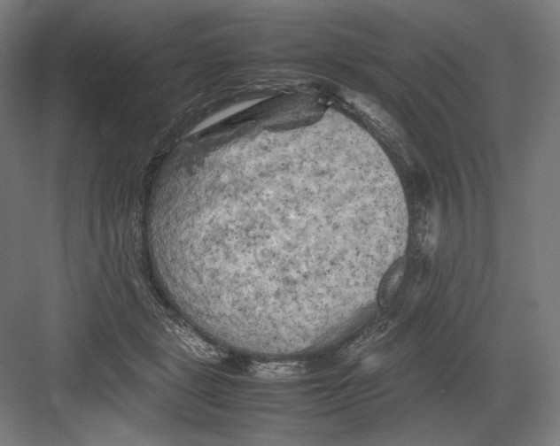 X0000082170461200702092248