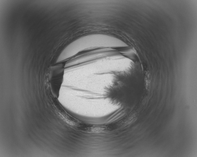 X0000082170462200702092248