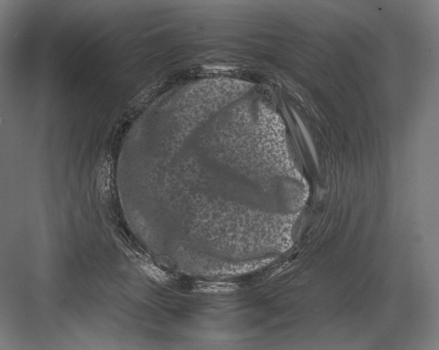 X0000082170463200702092248