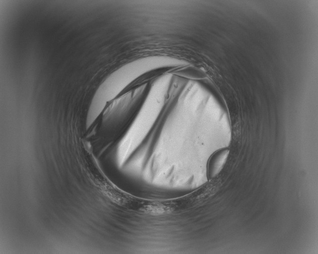 X0000082170464200702092248