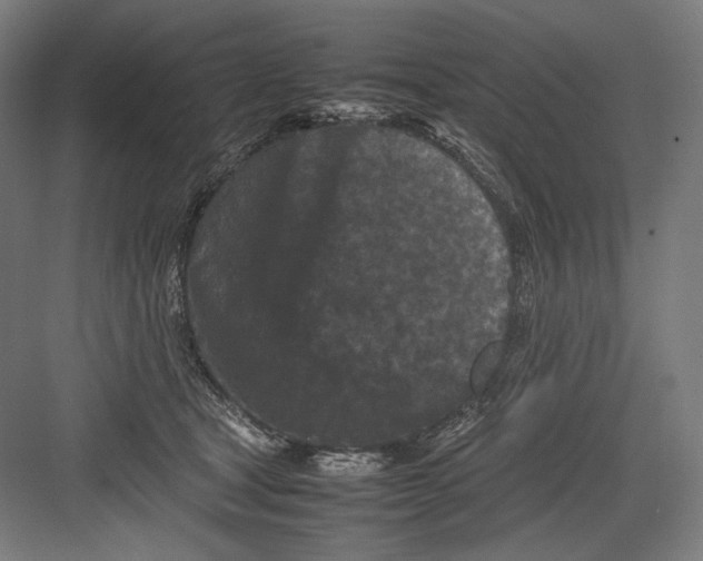 X0000082170465200702092248