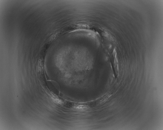 X0000082170467200702092248