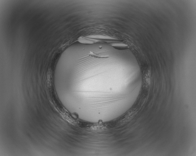 X0000082170468200702092248