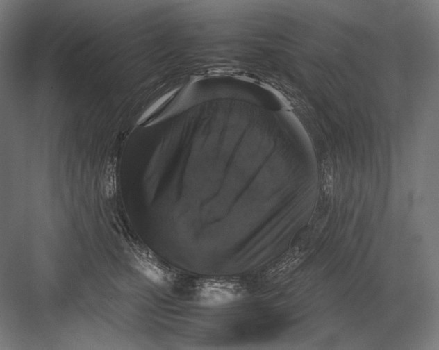 X0000082170471200702092248