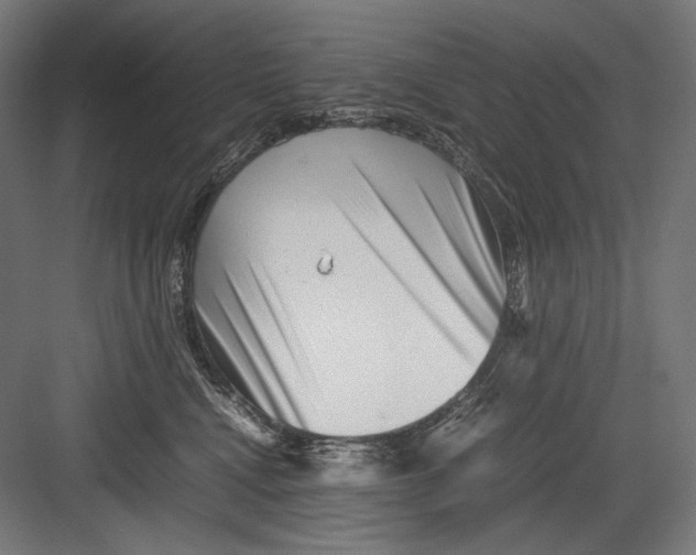 X0000082170472200702092248