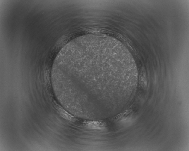 X0000082170473200702092248