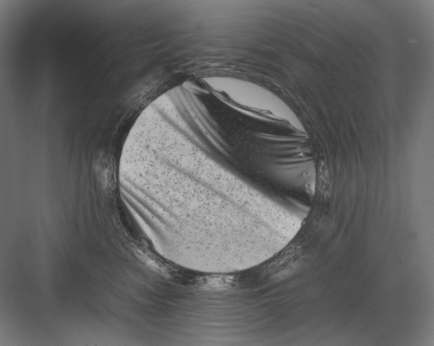 X0000082170474200702092248