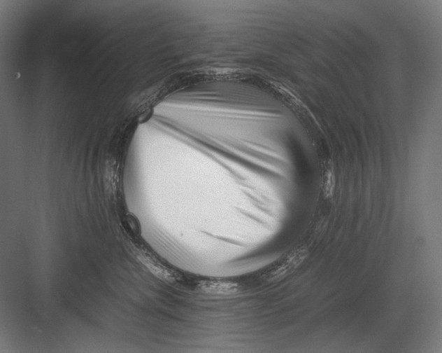 X0000082170476200702092248