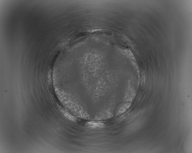 X0000082170477200702092248