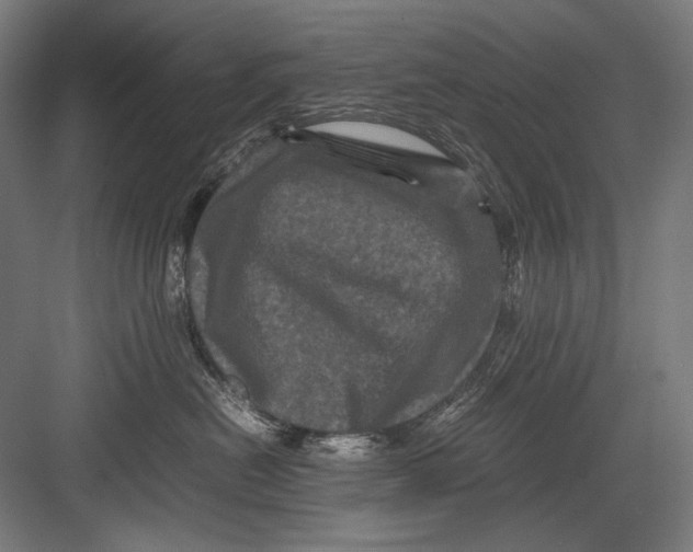 X0000082170478200702092248