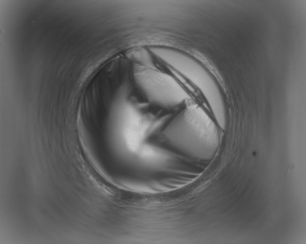 X0000082170481200702092247