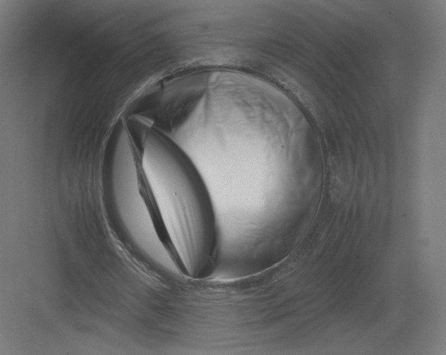 X0000082170482200702092247