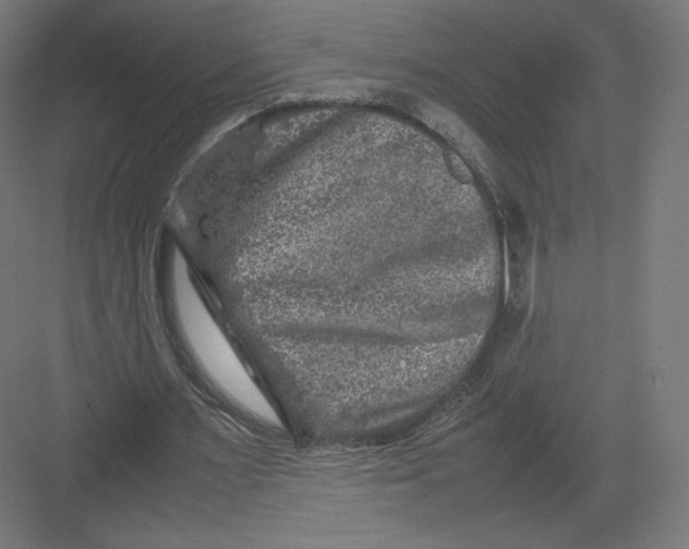 X0000082170483200702092247