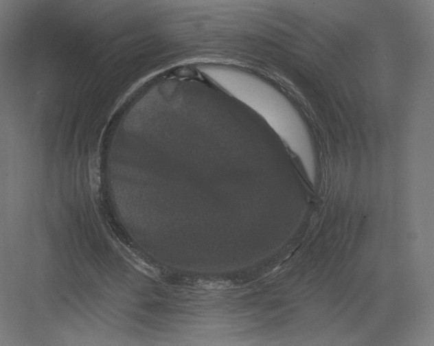 X0000082170484200702092247