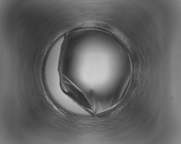 X0000082170485200702092247