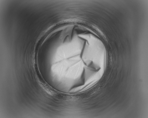 X0000082170486200702092247