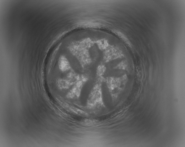 X0000082170487200702092247