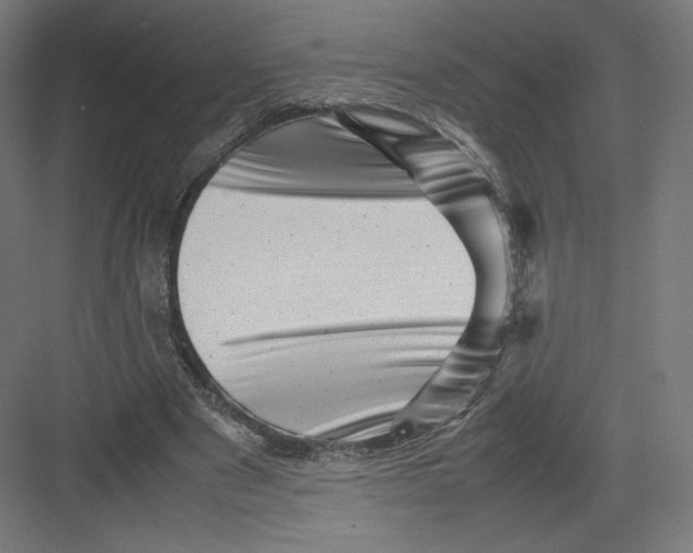 X0000082170489200702092247