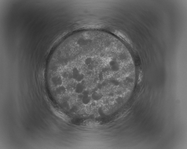 X0000082170491200702092247