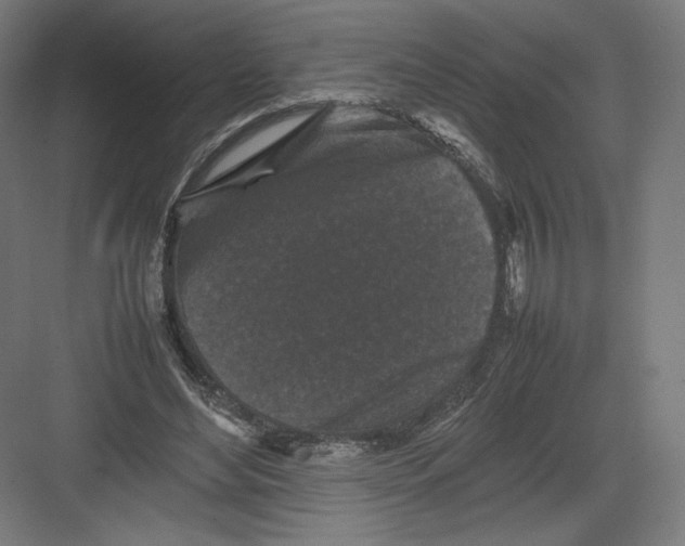 X0000082170492200702092247