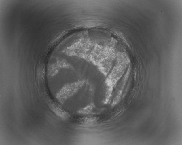 X0000082170495200702092247