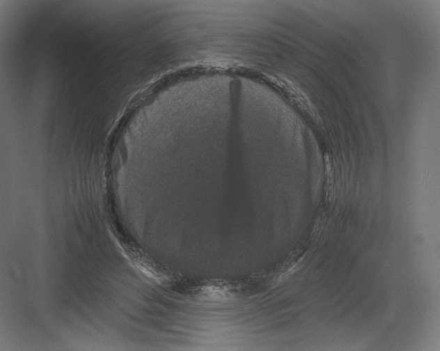 X0000082170496200702092247