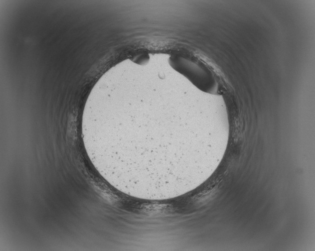 X0000082170497200702092247