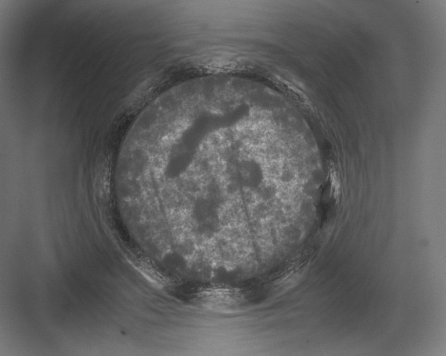 X0000082170499200702092247