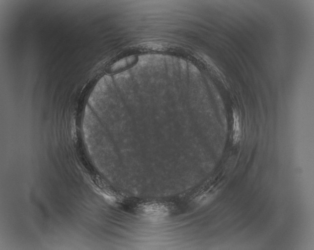 X0000082170500200702092247