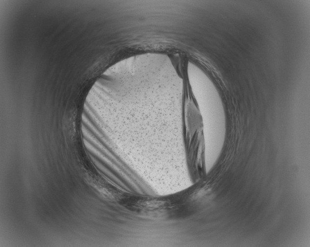 X0000082170501200702092247