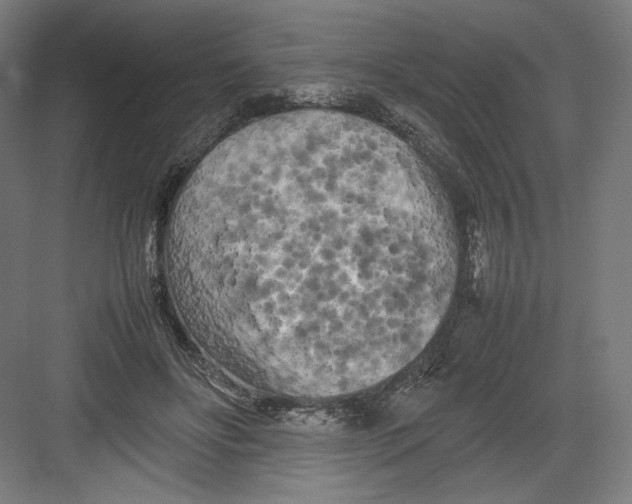 X0000082170502200702092247