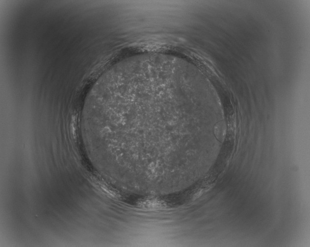 X0000082170503200702092247