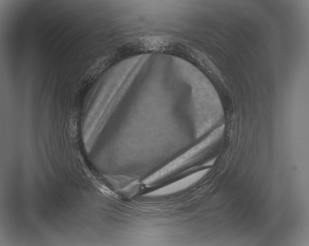 X0000082170505200702092247