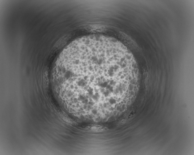 X0000082170506200702092247