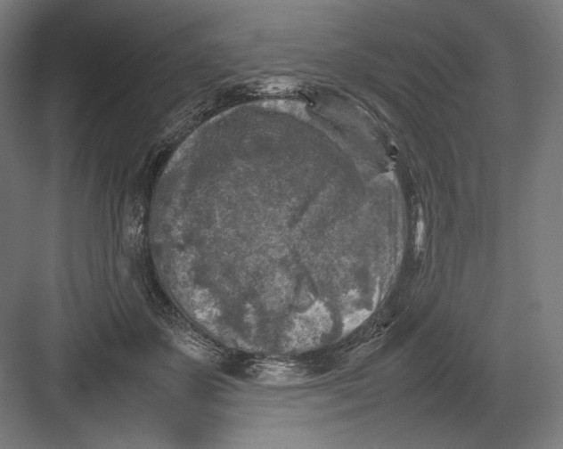 X0000082170507200702092247