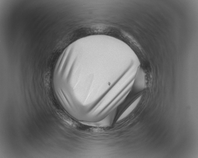 X0000082170509200702092247