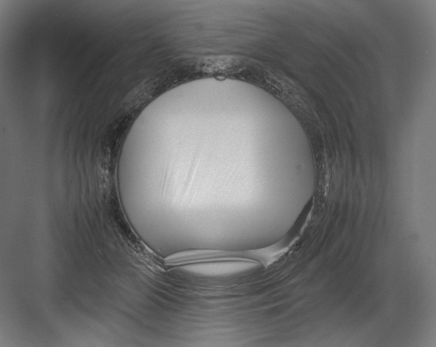 X0000082170510200702092247