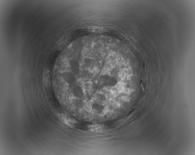 X0000082170511200702092247