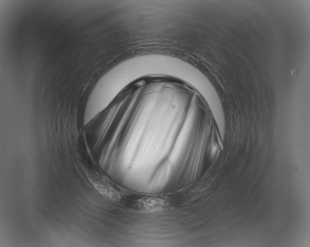 X0000082170512200702092247