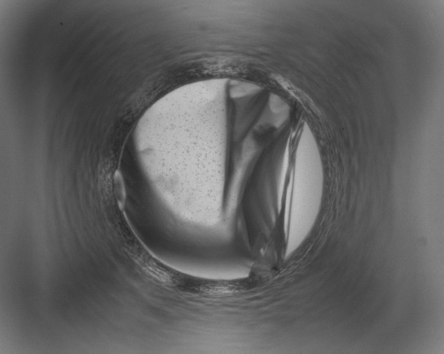 X0000082170513200702092247