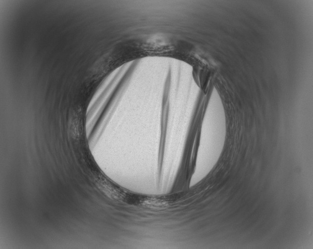 X0000082170515200702092247