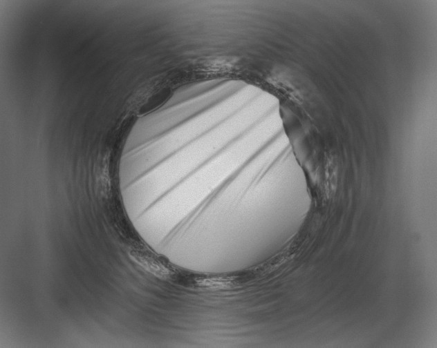 X0000082170516200702092247