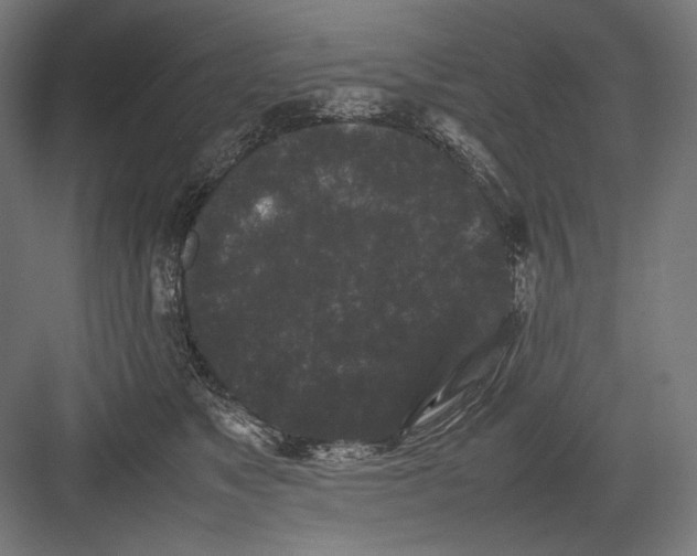 X0000082170517200702092247