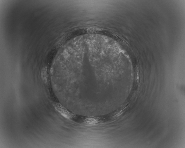 X0000082170519200702092247