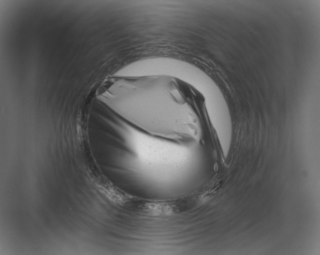 X0000082170520200702092247