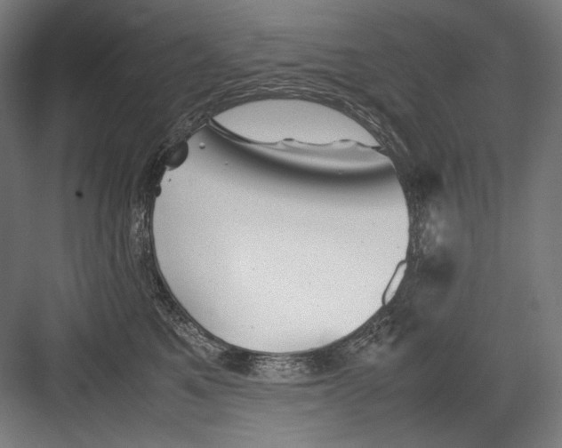 X0000082170521200702092247