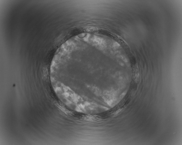 X0000082170523200702092247