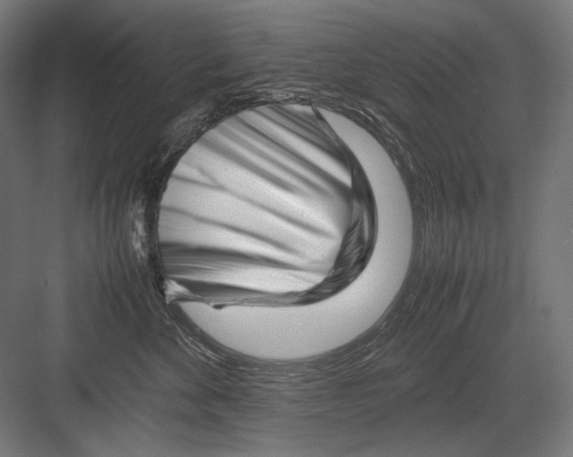 X0000082170524200702092247